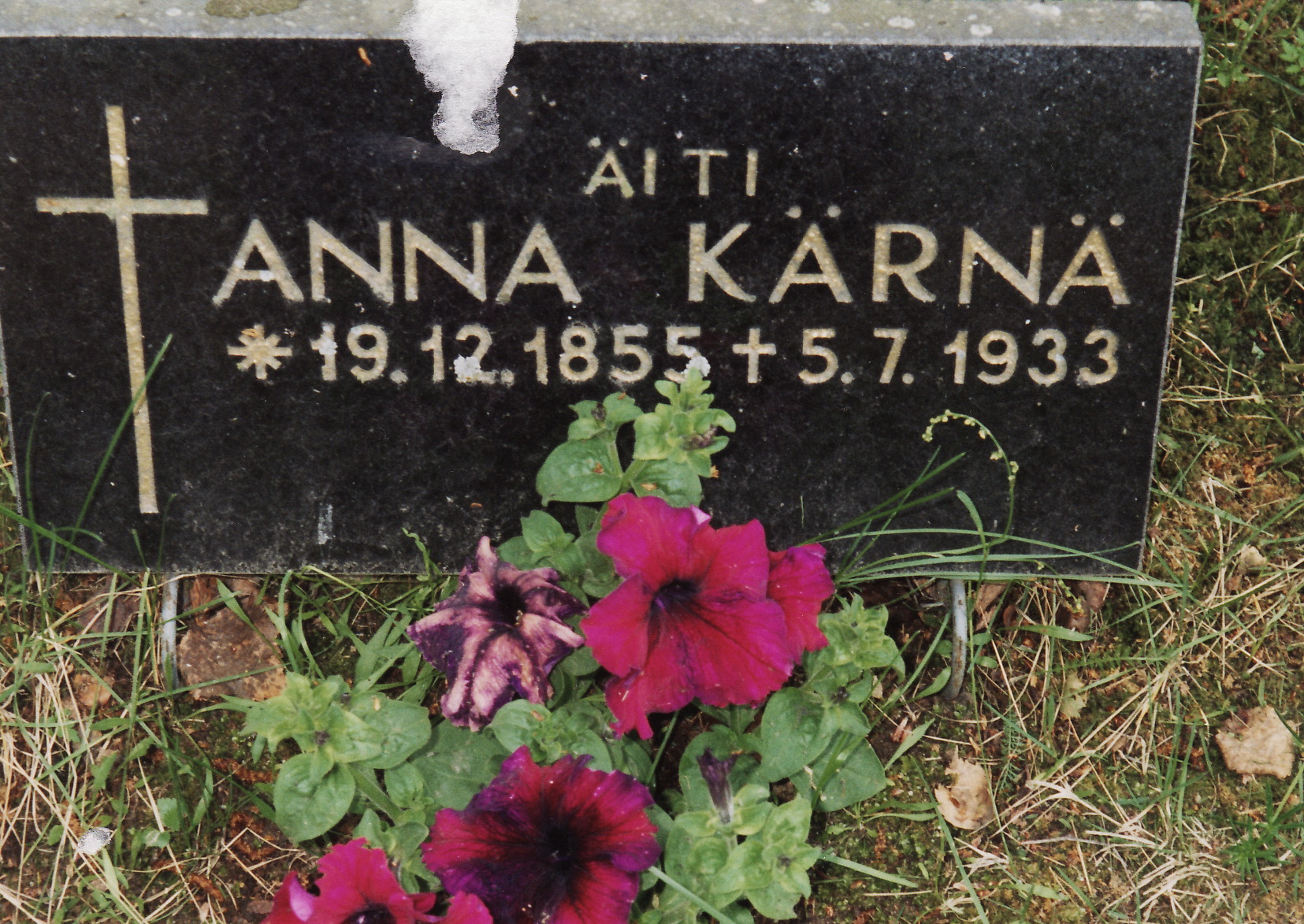 The Search for Anna Karna (Essay) – Jane Piirto, Ph.D.